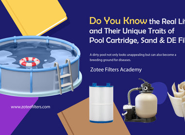 Do You Know the real Lifespan and Their Unique Traits of Pool Cartridge, Sand, and DE Filters?